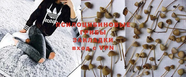 молекула духа Балабаново