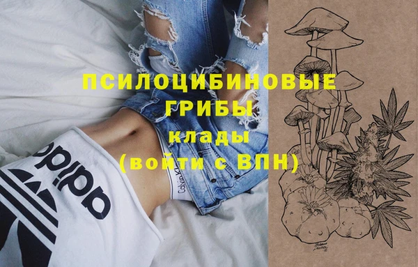 молекула духа Балабаново