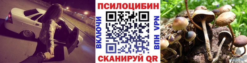 Галлюциногенные грибы Psilocybine cubensis  Сортавала 