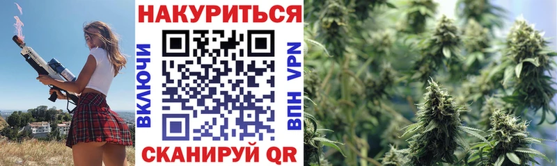 где купить наркоту  Сортавала  Бошки марихуана план 